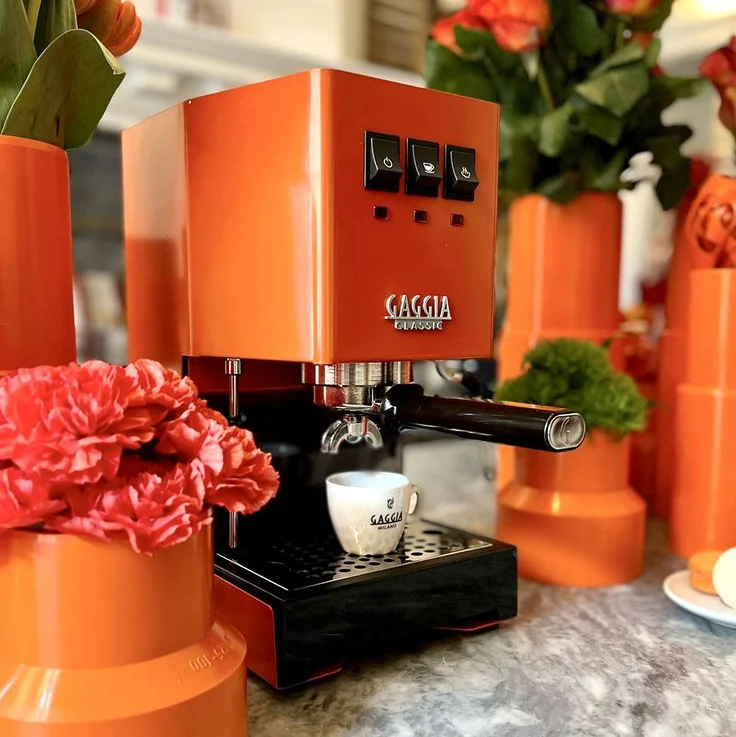 Gaggia Classic E24 Energie Vibe