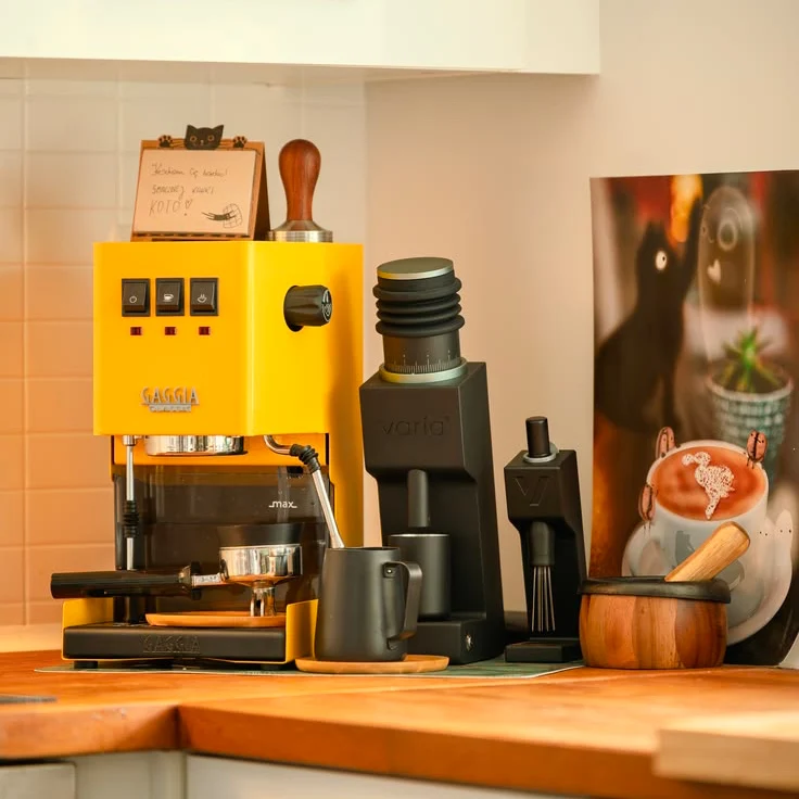Gaggia Classic E24 Energie Vibe