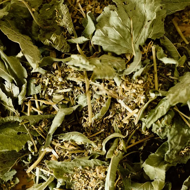 La Tisane BIO Détente - 18 sachets | Infusions d'Ici