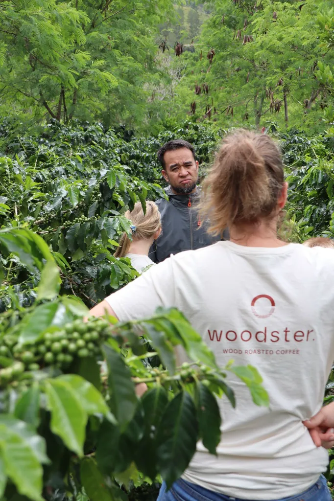 Whole bean, Maison Javanaise, Indonesia, Woodster