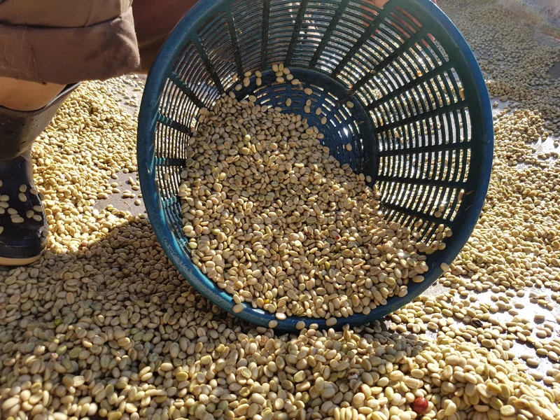 Ground coffee, Guatemala Familia Mendez, Knopes