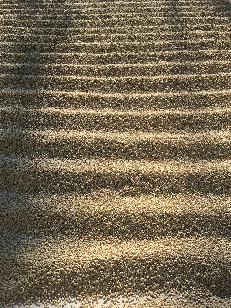 Ground coffee, Guatemala Familia Mendez, Knopes