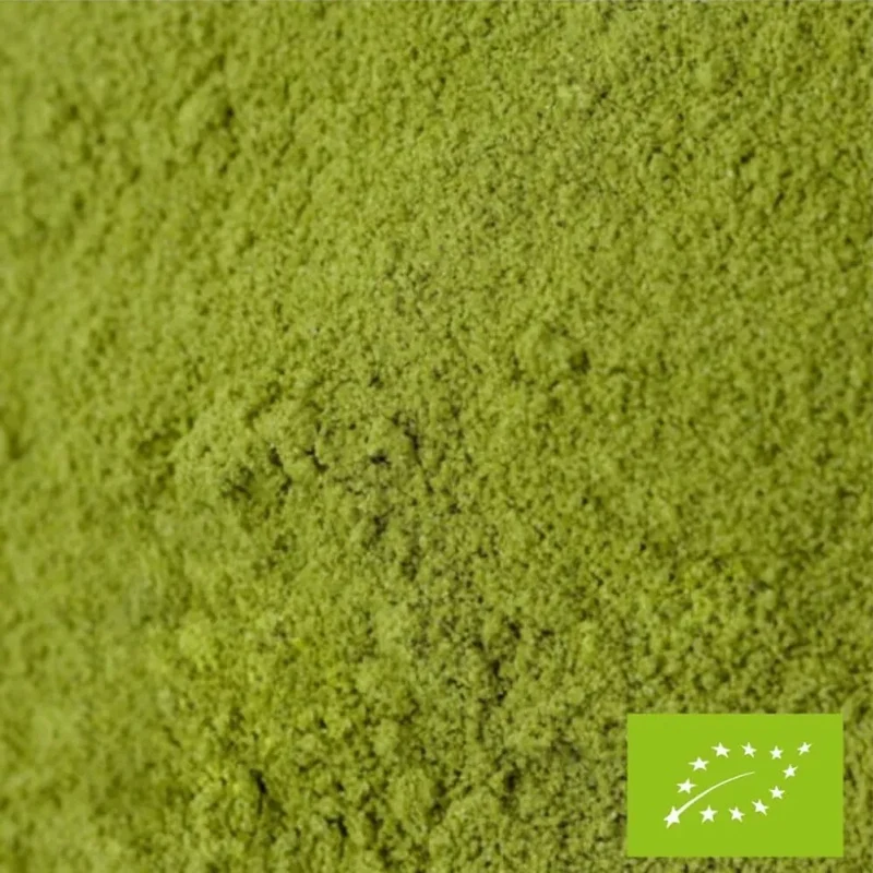 Matcha Honoka BIO du Japon - 30 Gr | FBKT