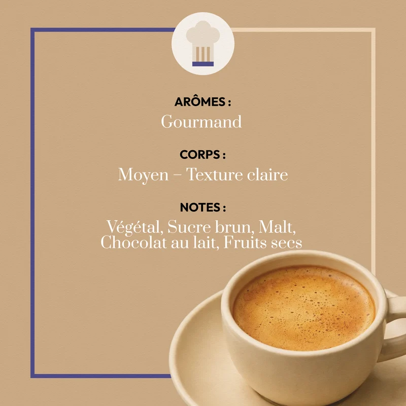 Café Moulu Guatemala Maya by Sail - Café Bonnac | 100% Arabica