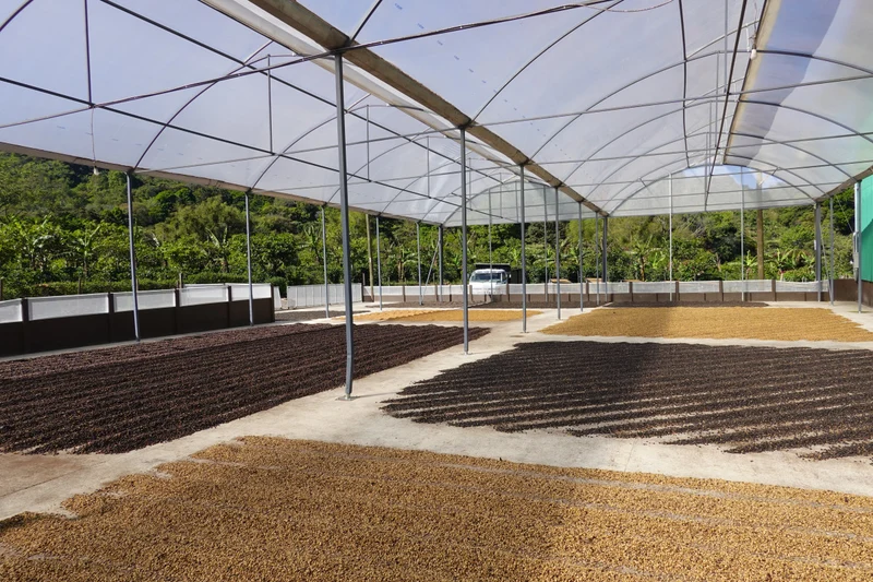 Ground coffee, Copey, Costa Rica, Knopes - Limited Edition