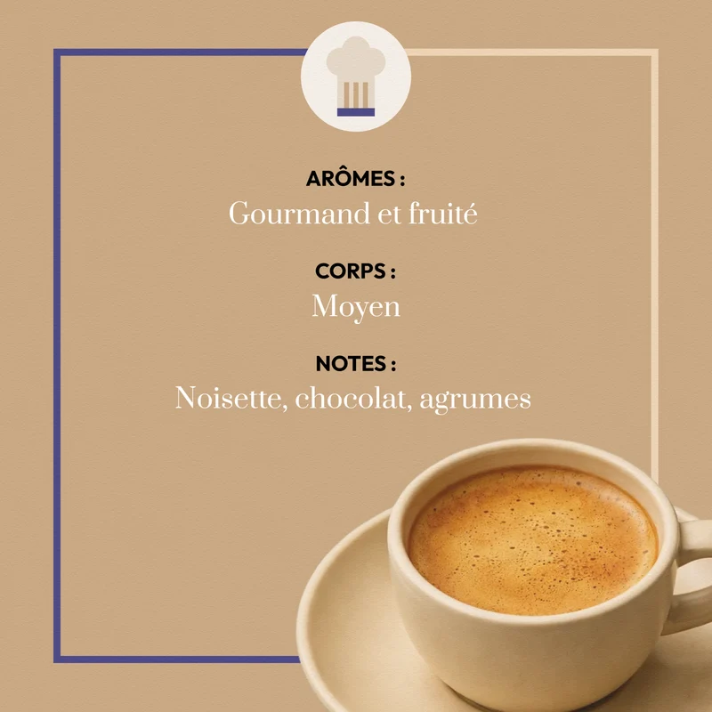 Café en Grain Mexique Chocky - Café Bonnac | Café Certifié Biologique - 100% Arabica