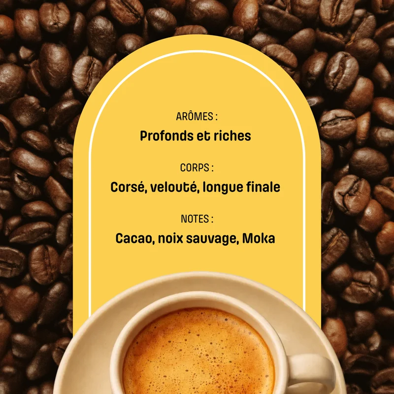 Café Moulu Presto - Blend Caffè Intenso | Arabica/Robusta - Goût Italien