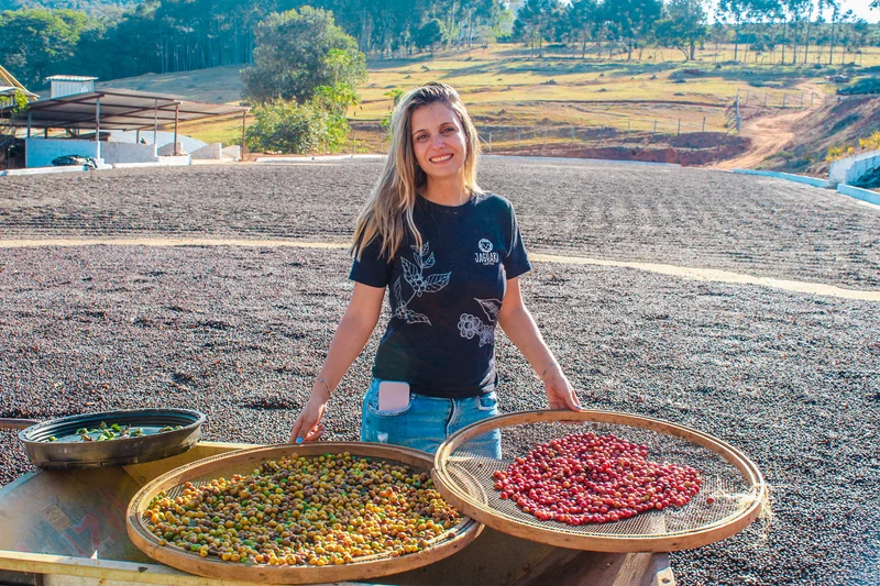 Whole bean, 1936, Brazil, Knopes