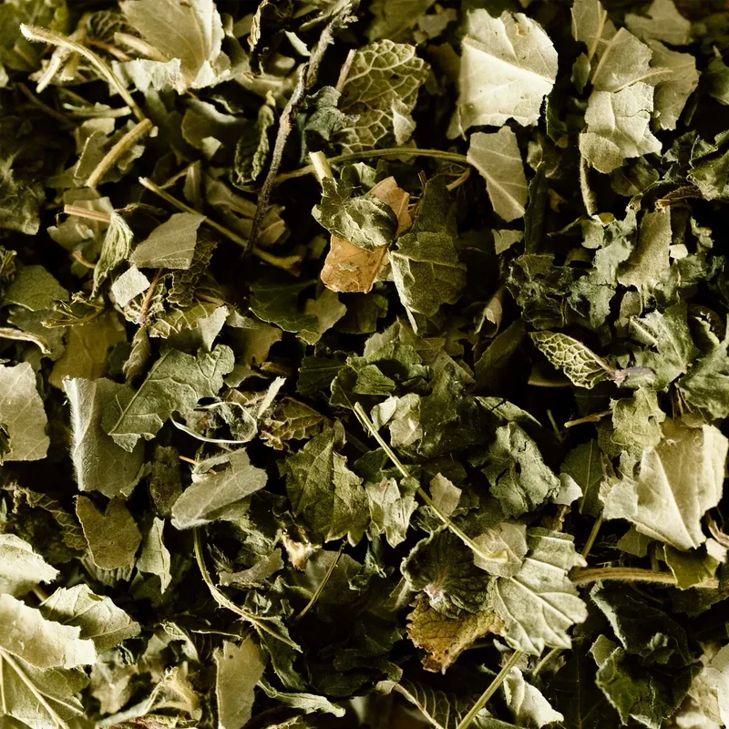 La Tisane BIO Lunes Intenses - 18 sachets | Infusions d'Ici
