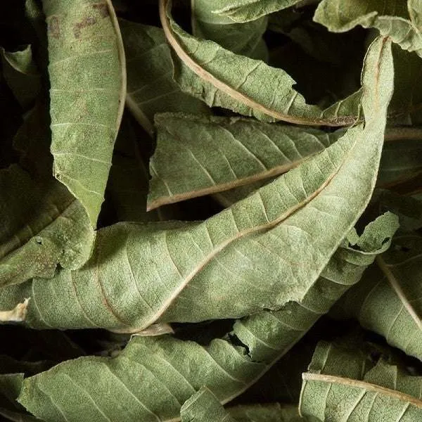 Tisane verveine - 25 sachets | Dammann Frères