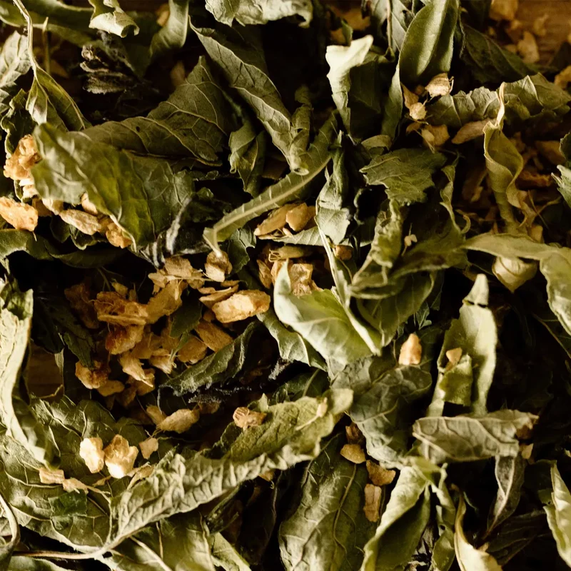La Tisane BIO Nausées - 18 sachets | Infusions d'Ici