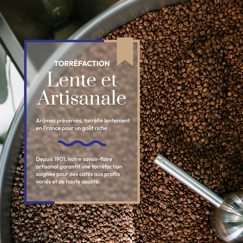Café en Grain Blend Royal Moka - Café Bonnac | 100% Arabica