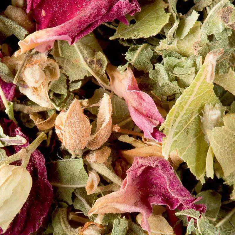 Tisane Bali - 100 Gr | Dammann Frères
