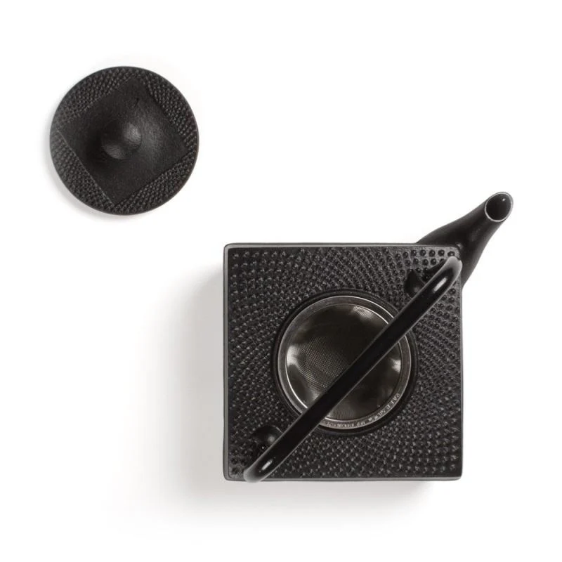 Théière fonte du Japon - Noir - Kanwa - 0.5 L | Dammann Frères