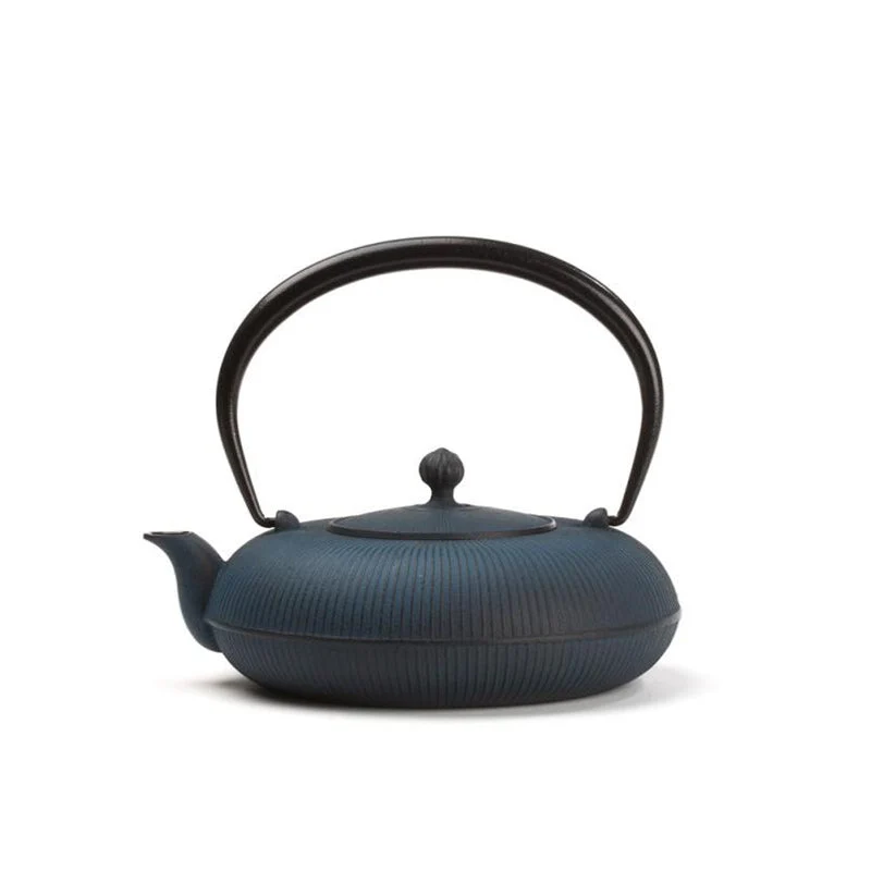 Théière Fonte du Japon - Bleu - Oitomi Shikuza - 0.7 L | Dammann Frères