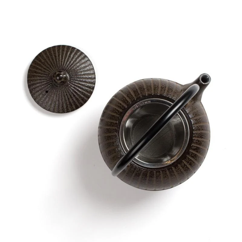 Théière Fonte du Japon - - Marron - Chakatake - 0.55 L | Dammann Frères