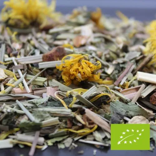 Infusion BIO Par ici les Clichés ! - 100 Gr | FBKT