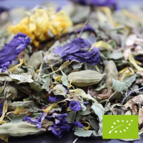 Infusion BIO La Grande Echappée - 100 Gr | FBKT