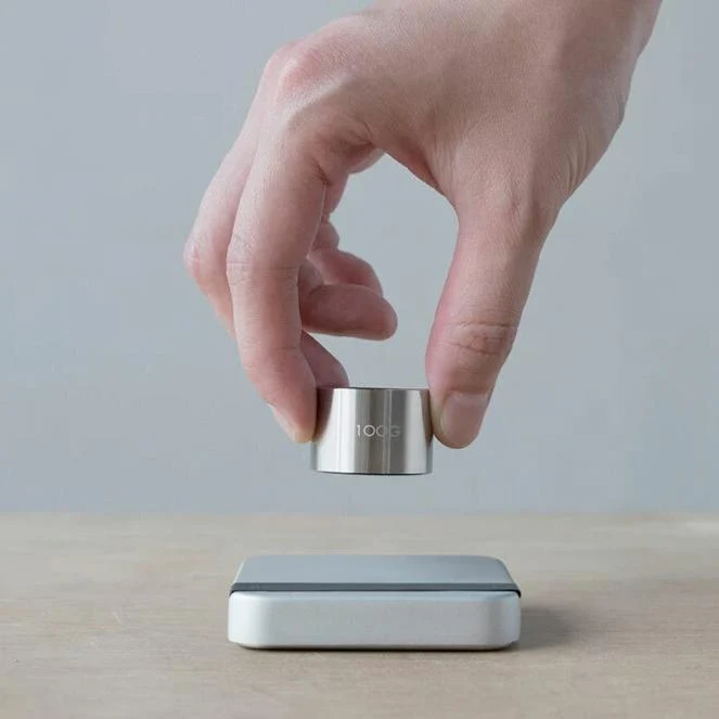 Poids de calibration 100 Gr | Acaia