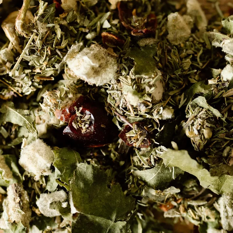 La Tisane BIO Immunité - 18 sachets | Infusions d'Ici