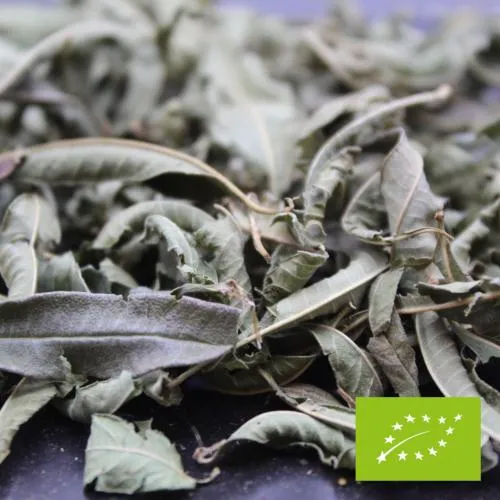 Infusion Verveine BIO - 100 Gr | FBKT