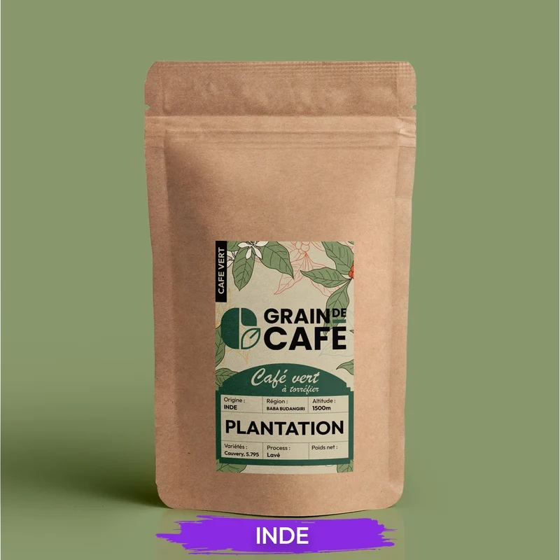 Café Vert Inde Plantation - 1 Kg | 100% Arabica