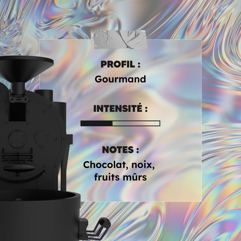Café en Grain Jamaïque Blue Mountain - 92° | 100% Arabica