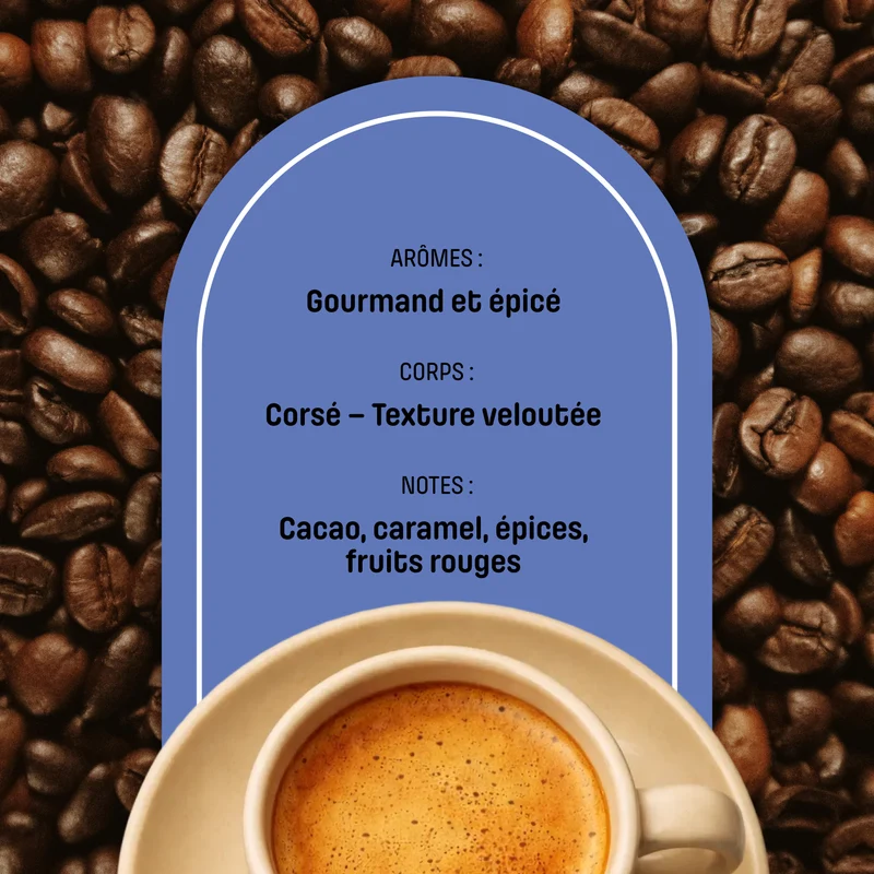 Café en Grain Presto - Blend Expresso Corsé | Arabica/Robusta - Goût Italien