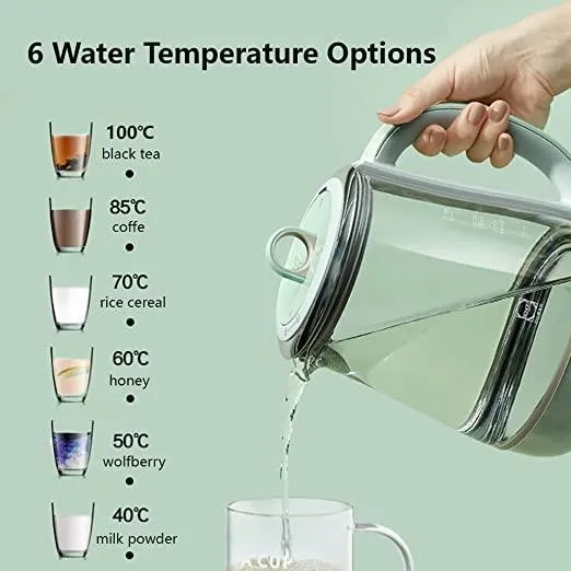 Buydeem K2763 Multi-Functional Health Kettle | 1.5L with Glass Stew Pot | 110V North American Version