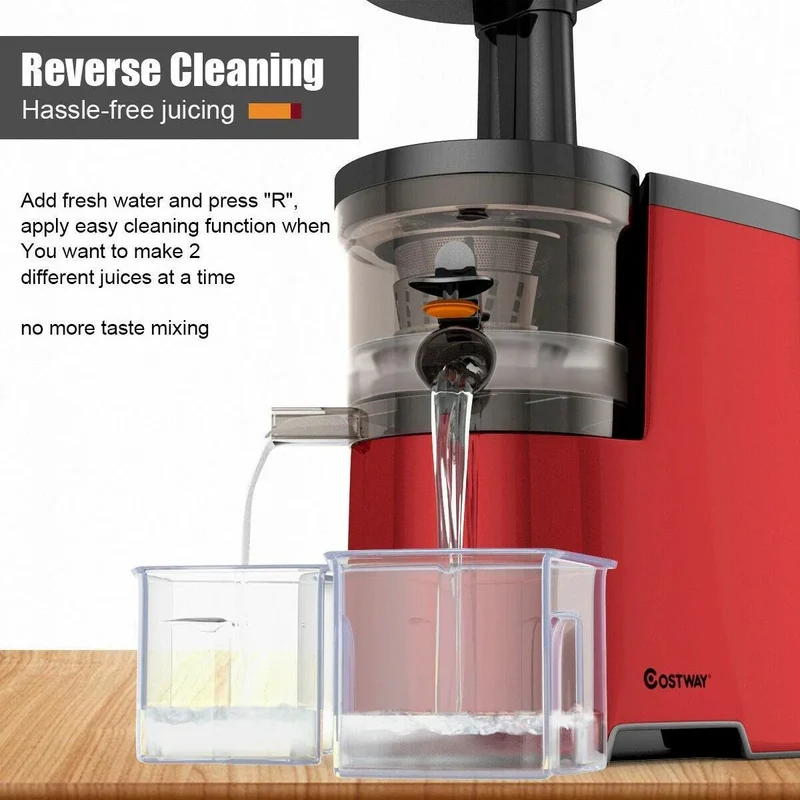 Costway Slow Juicer EP24000US,Fruit Vegetable Masticating Cold Press Extractor