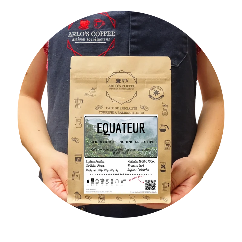 EQUATEUR - TULIPE