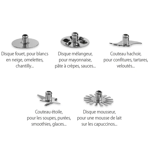Mixeur plongeant 1000 W Mathon