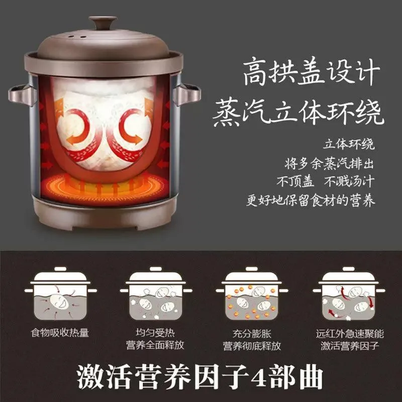 SANYUAN TDG100-SA1 Electric Stew Pot | 10L | Purple Clay | Soup Pot | 110V