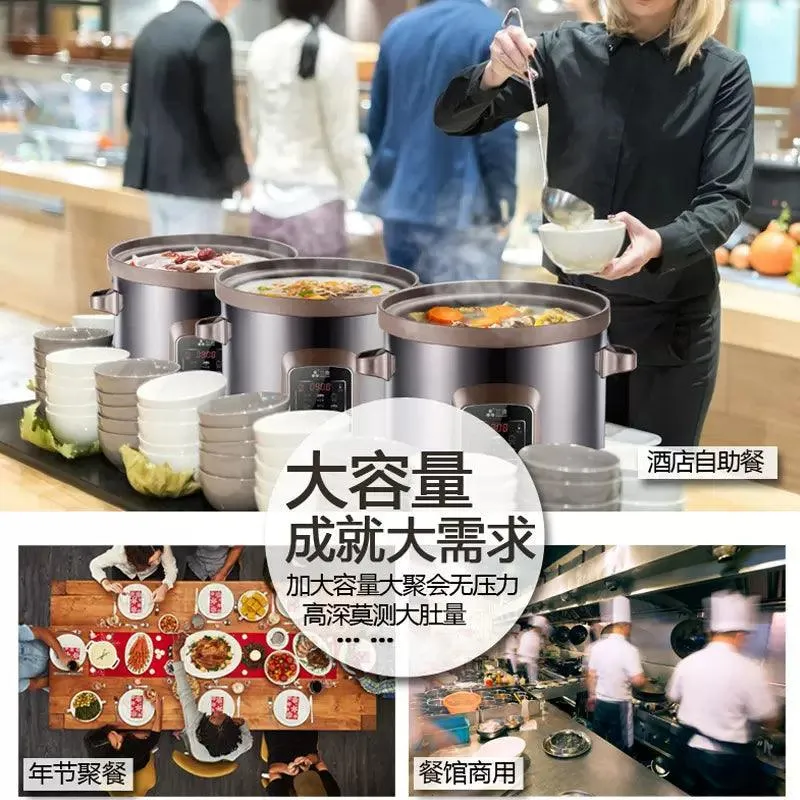 SANYUAN TDG100-SA1 Electric Stew Pot | 10L | Purple Clay | Soup Pot | 110V