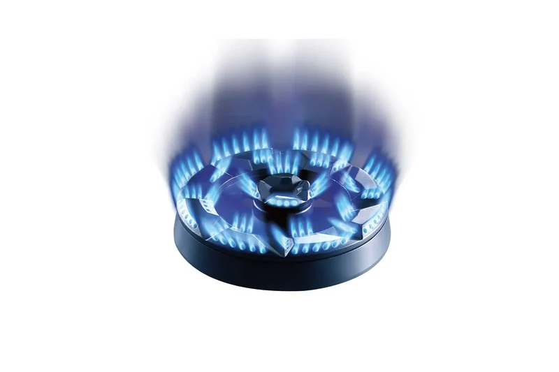 ROBAM Gas Cooktop G413 | 30" | 4 Burners | PROFESSIONAL | Yourishop.com