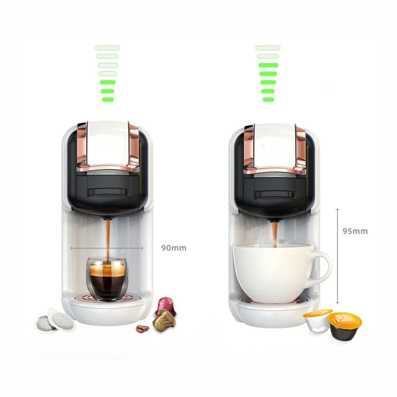 Machine Café Multi Capsules + Moulu