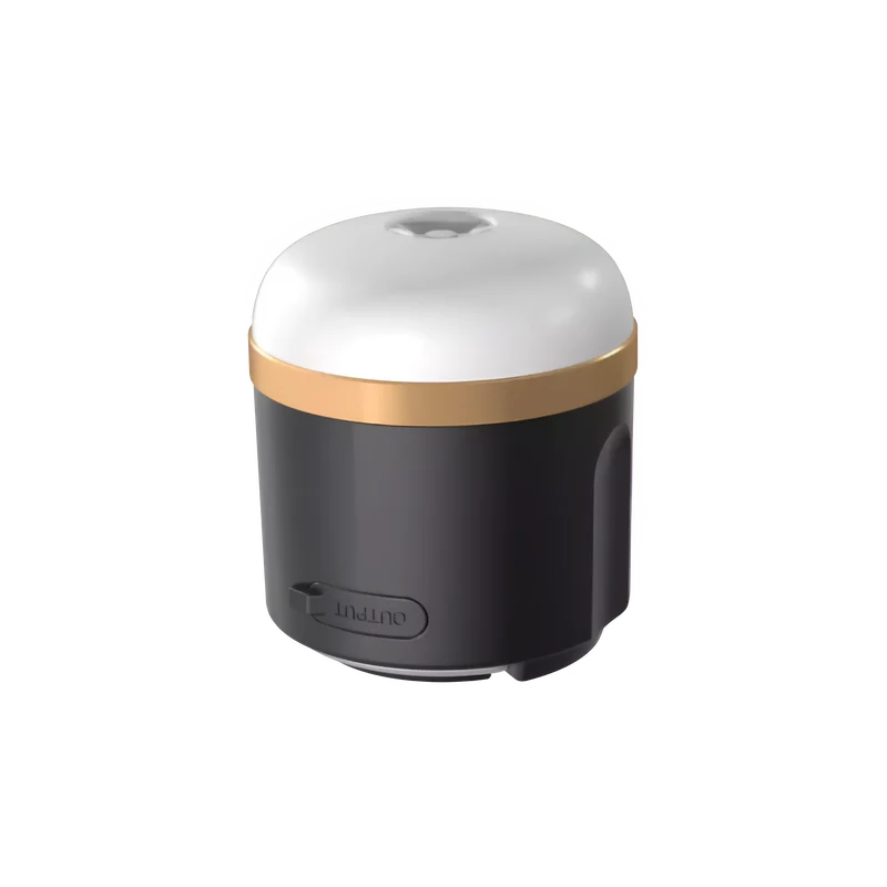 Lampe de camping EcoFlow