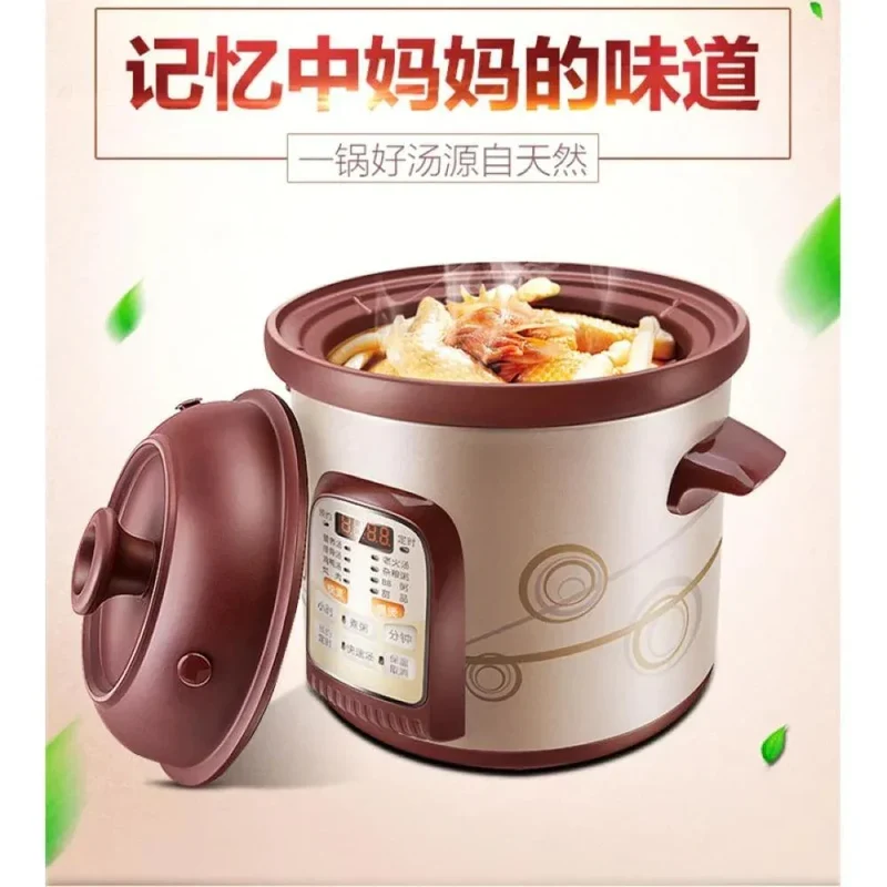 Tonze Electric Cooker DGD40-40SWD, Purple Clay inner pot, 500W, 4L