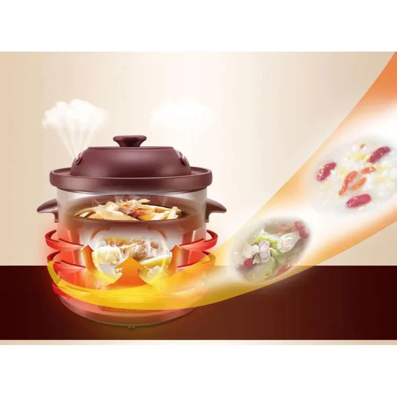 Tonze Electric Cooker DGD40-40SWD, Purple Clay inner pot, 500W, 4L