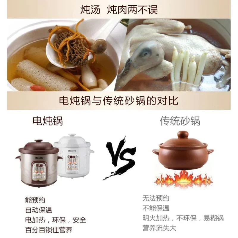 Tonze Electric Cooker DGD40-40SWD, Purple Clay inner pot, 500W, 4L