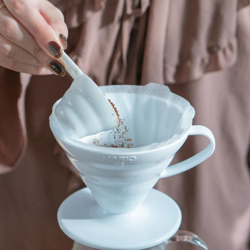 Dripper V60 - plastique - Hario