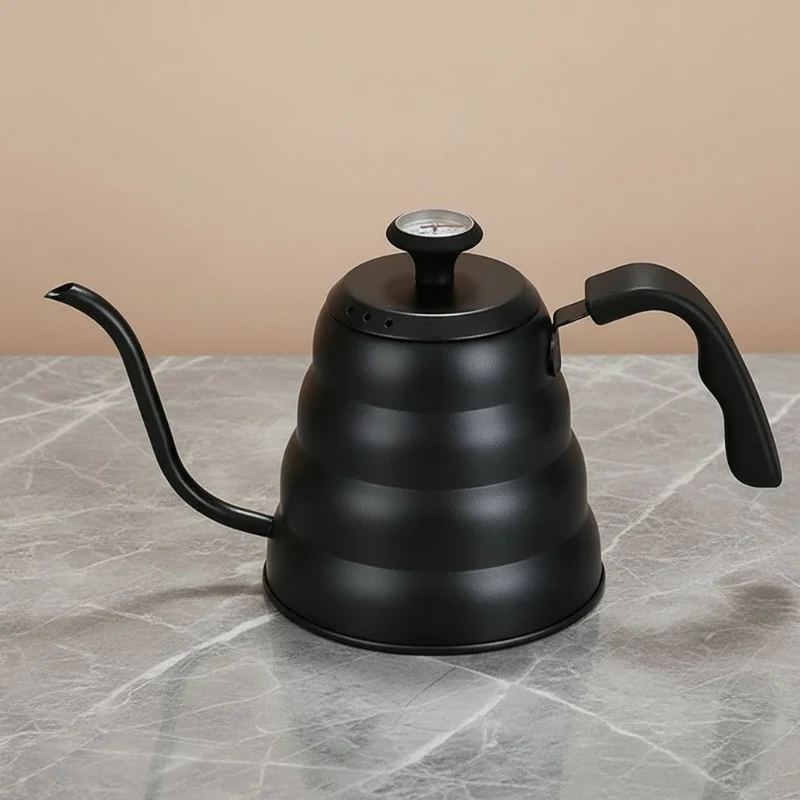 Bouilloire à bec verseur inox