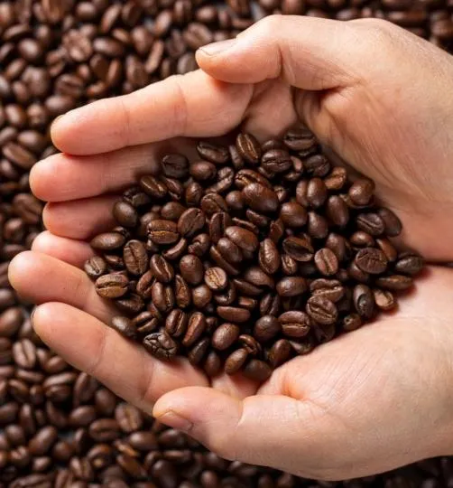 Caffè in GRANI RE NERO 500 g