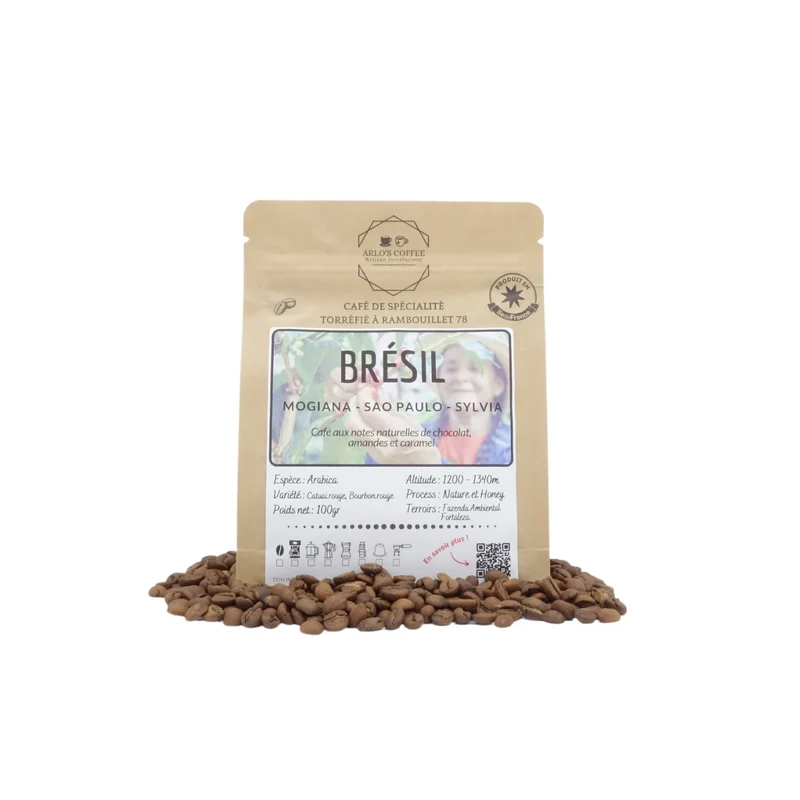 BRESIL - SYLVIA