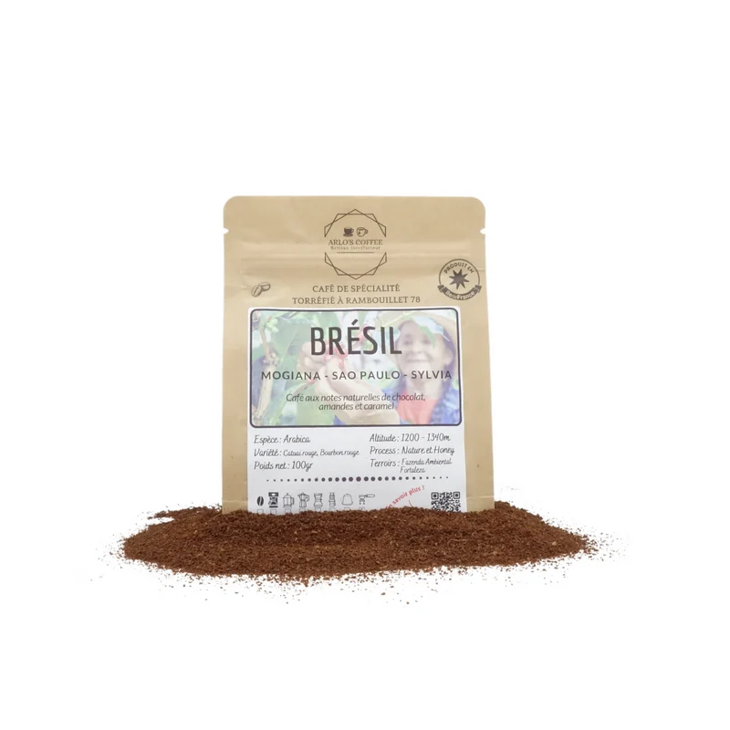 BRESIL - SYLVIA