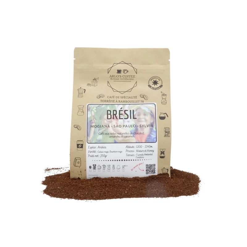 BRESIL - SYLVIA