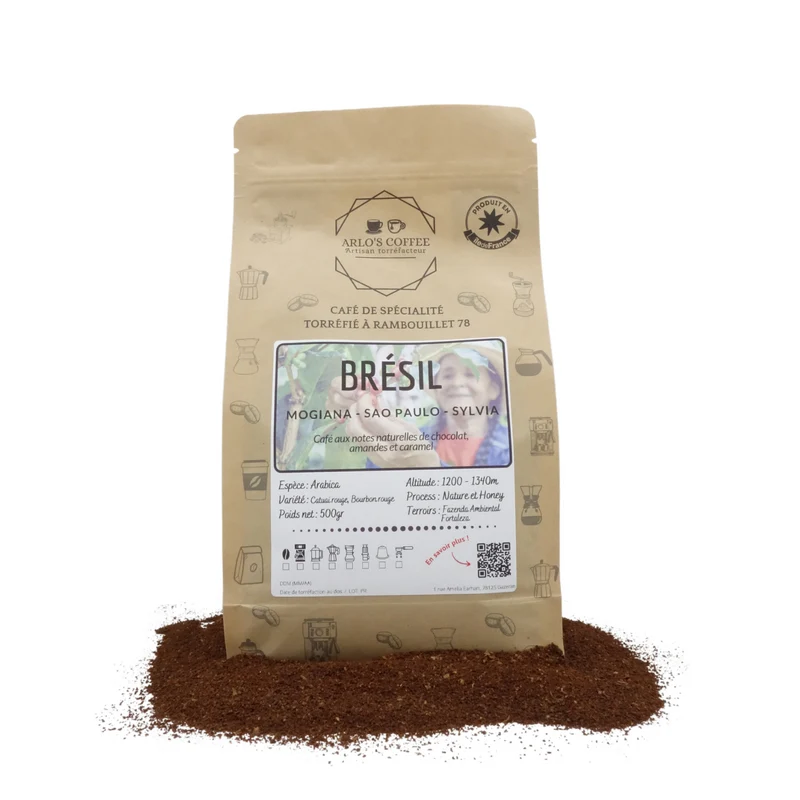 BRESIL - SYLVIA