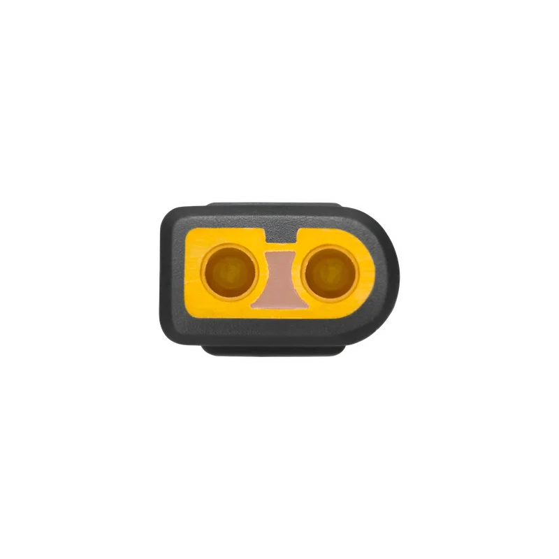 EcoFlow Câble solaire MC4 VERS XT60