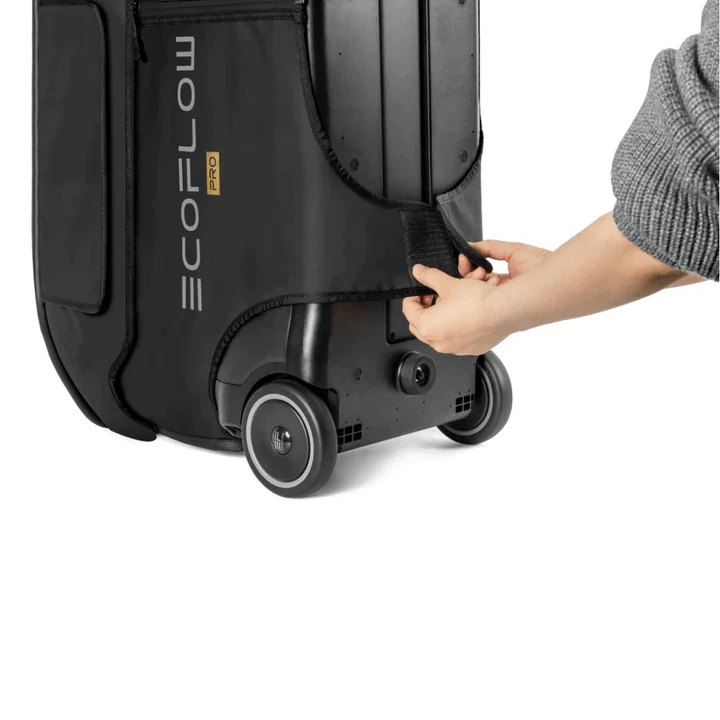 Sac EcoFlow Delta Pro