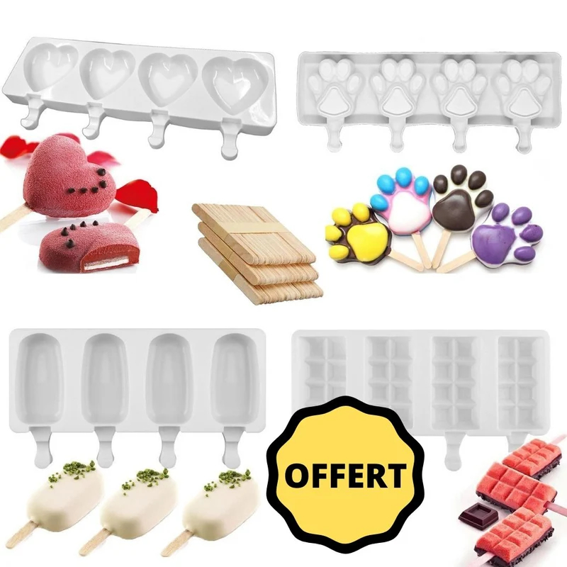 Lot de 4 Moules pour Glaces + Bâtonnets